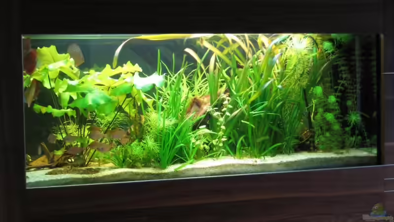 Blick vom Wohnzimmer von max-sonic (7)