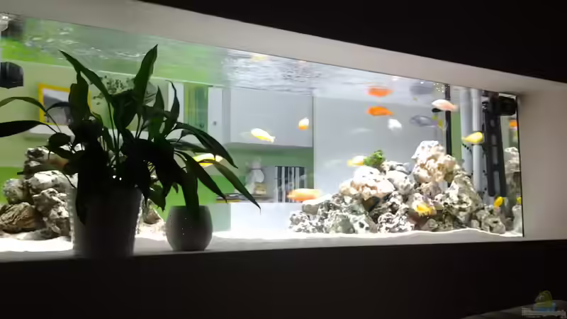 Blick von der Couch von merlin1910 (1)