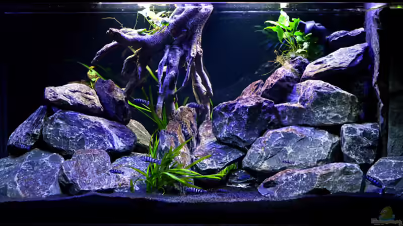 Blick von der Küche von Erik H. (17)