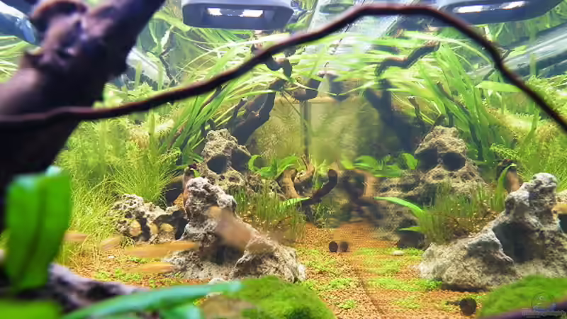 Blick von der linken Seite aus durchs lange Becken von bergfrau (28)