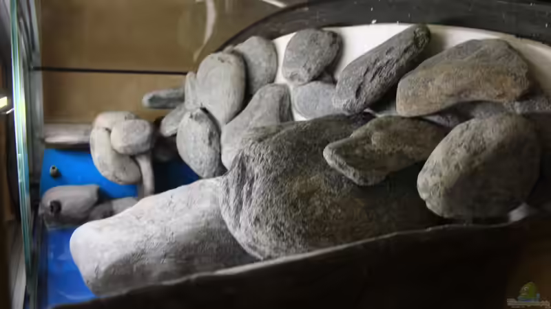 Blick von der linken Seitenscheibe von Borg (15)