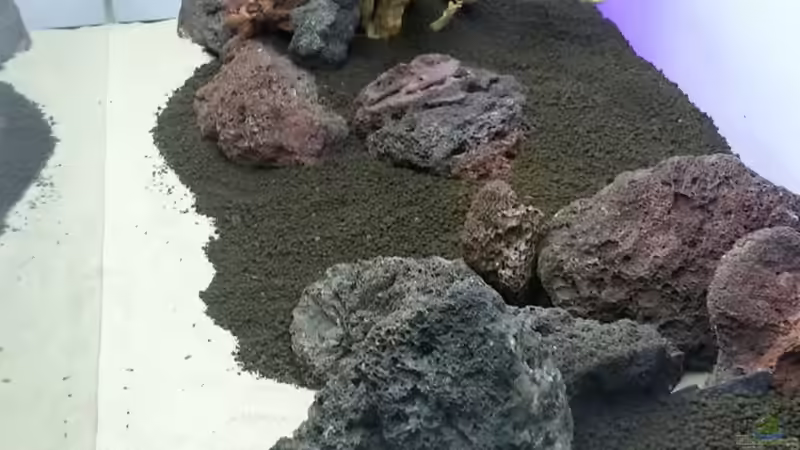 Blick von der rechten Seite auf das Hardscape von Sebastian Hartmann (58)