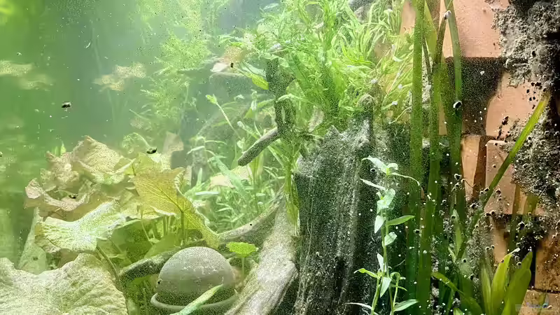 Blick von der Seite. von Lina L. (17)