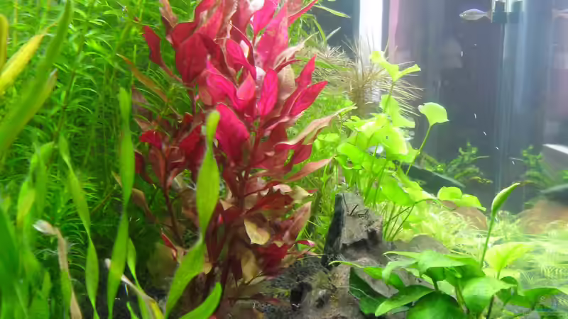 Blick von der Seite_2 von Uwe M. (6)