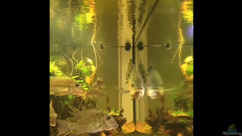 Blick von der Seite von Jonas B. (9)