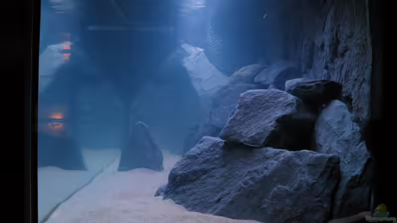 Blick von der Seite von Oliver H. (12)