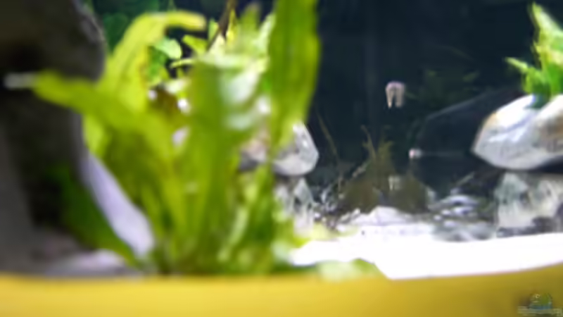 Blick von links ins Becken von Stefan Anhalt (7)