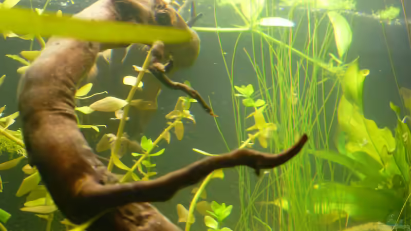 Blick von links nach Mitte Hinten von Stefan E. (2)