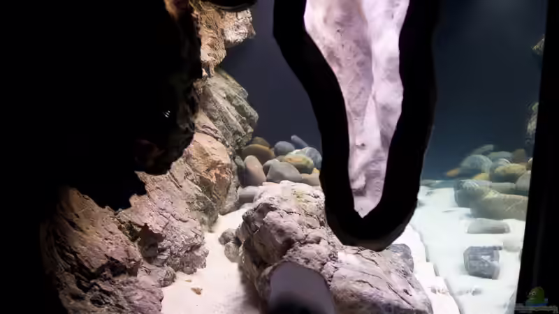 Blick von links nach rechts von Markus Walter (16)