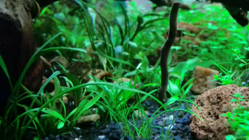 Blick von links unten(18.09.2012) von Walde (12)