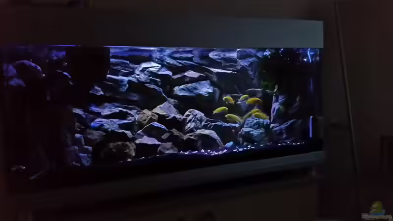 Blick von links von Daniel H. (2)