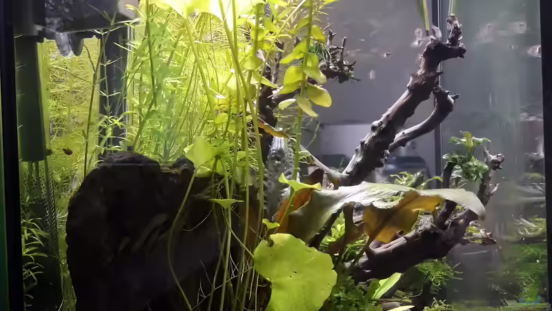 Blick von links von Glücksscherbe (5)