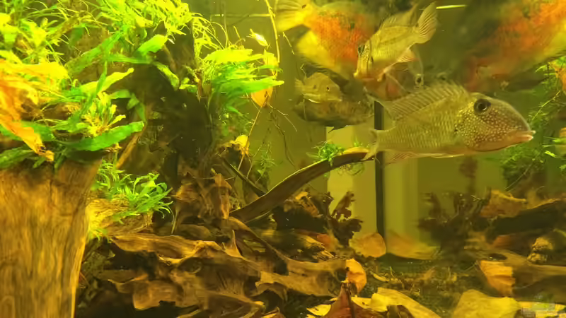 Blick von links von Jonas B. (10)