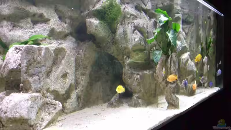 Blick von links von Joopde (2)