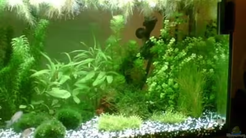 blick von links von Maria Blumenthal (4)