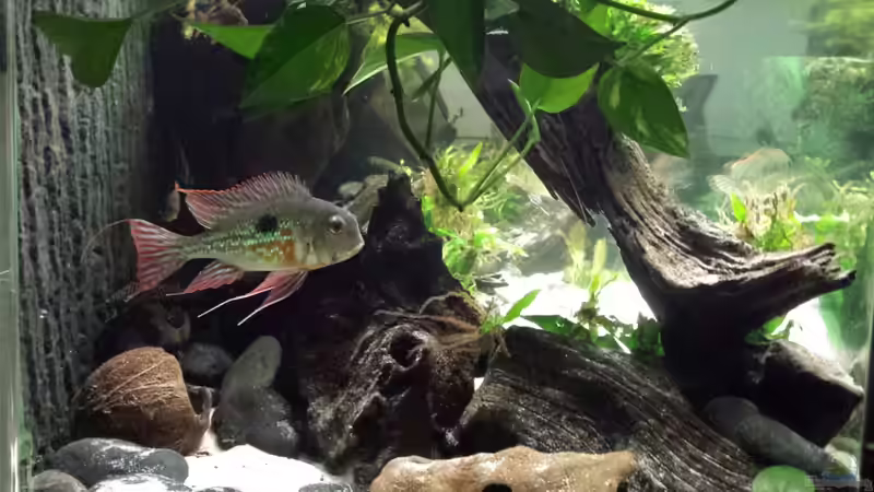 Blick von links von NRW (42)