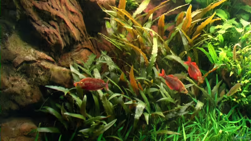 Blick von links von Tilo Schmiedl (2)