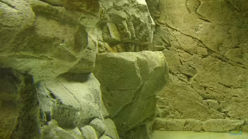 Blick von links zur rechten Seitenscheibe, die mit B2N Slimline verkleidet ist. (Nach von Georg Botz (10)