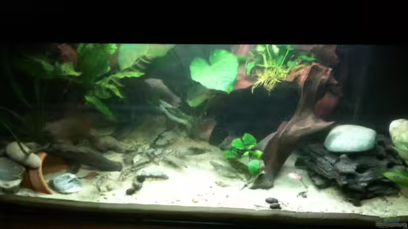 Blick von oben...hier sind die Lichtverhältnisse am ehersten zu erahnen von Exotist (7)