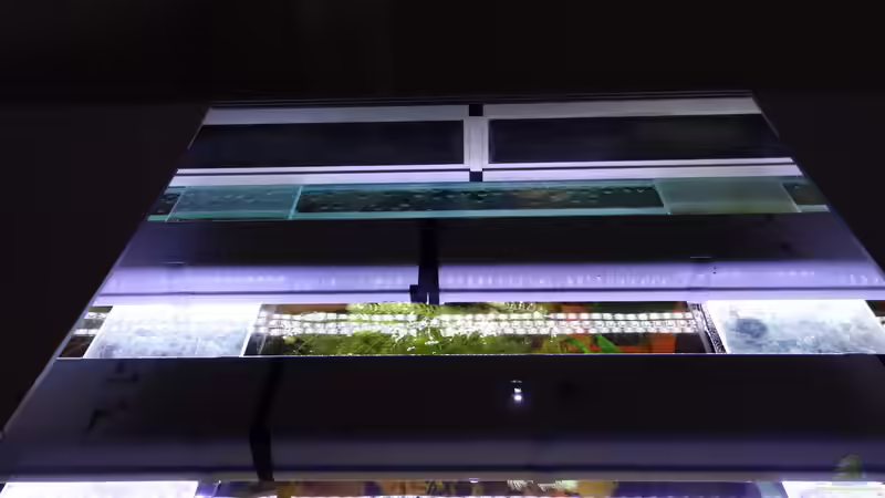 Blick von Oben - in der Spiegelung sieht man die LED Streifen. von Ba Bu (10)