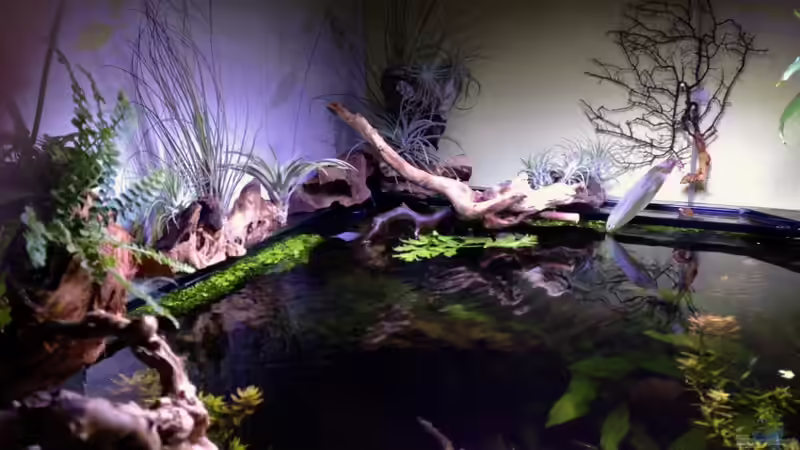 Blick von Oben 1.4.13 von Michel (6)