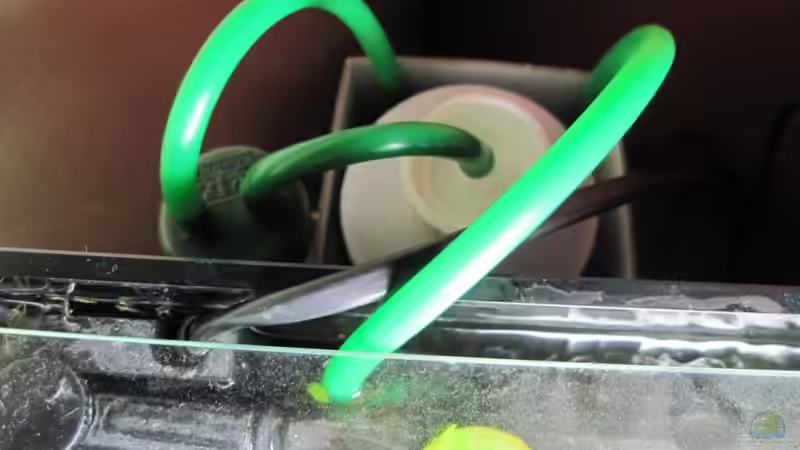 Blick von oben auf die Bio CO2 Anlage von Opodeldok (32)