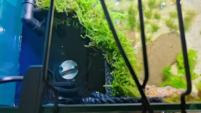 Blick von oben auf HMF von bergfrau (24)