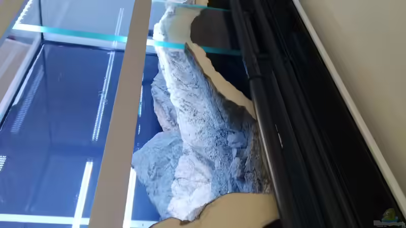 Blick von oben in den Rückwandfilter mit Verrohrung von Tom (42)
