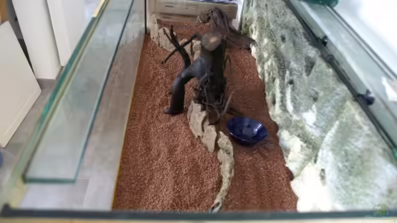 Blick von oben links von Christian Zwick (5)