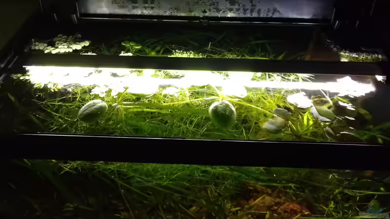 Blick von Oben von Gregor (3)