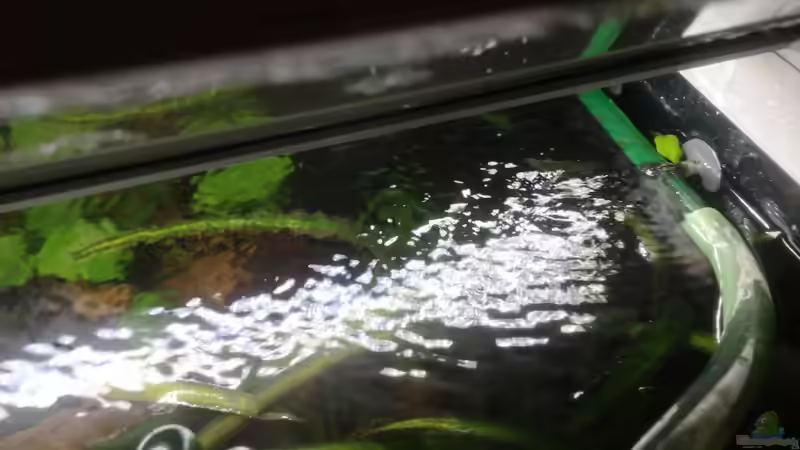 Blick von Oben von Stefan Heins (12)