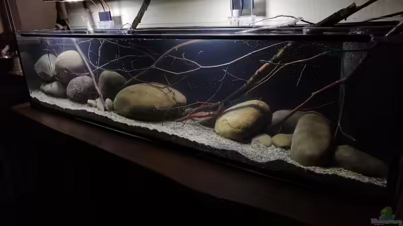 Blick von rechts 03.06.2019 von Tim Buktu (2)