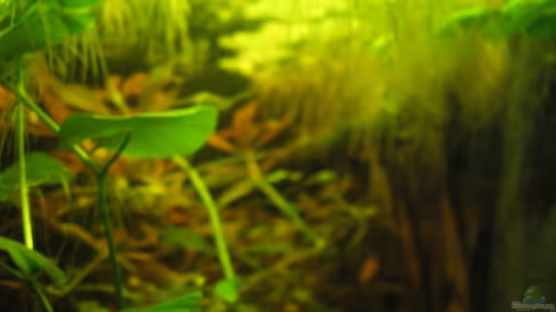 Blick von rechts (07.08.2012) von Südamerikafreak BK (6)