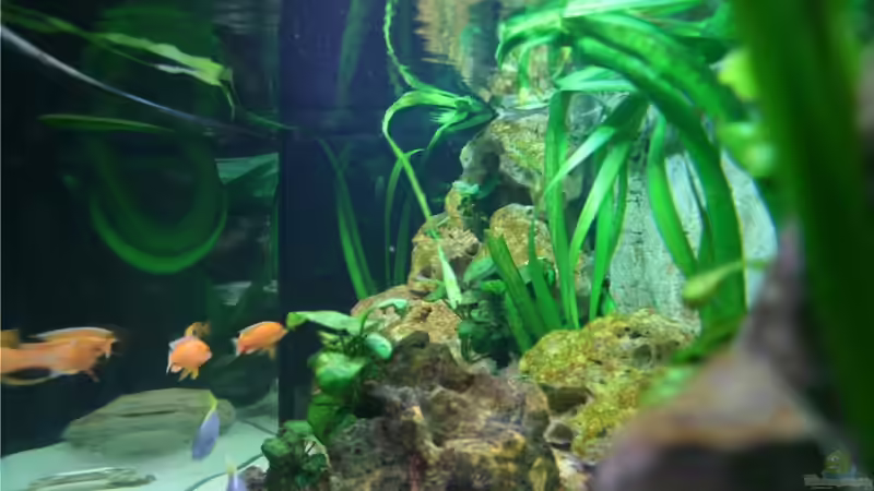 Blick von Rechts durchs Becken von M3z (4)