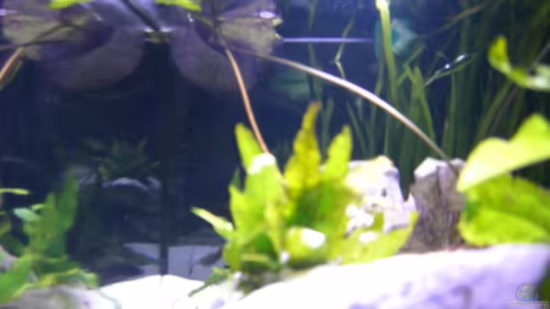 Blick von rechts ins Becken von Stefan Anhalt (6)