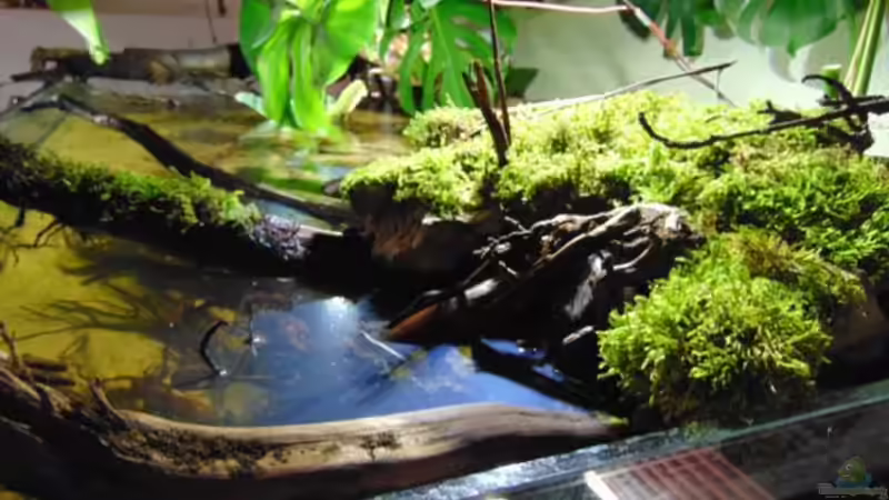 Blick von rechts oben von Markaroni (9)