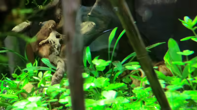 Blick von rechts unten (18.09.2012) von Walde (14)