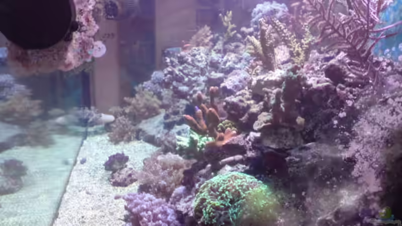 blick von rechts von Daniel Reichl (16)