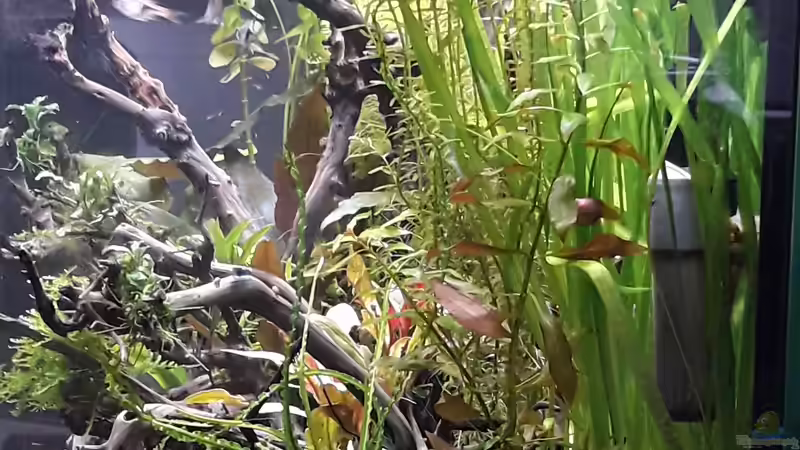 Blick von rechts von Glücksscherbe (4)