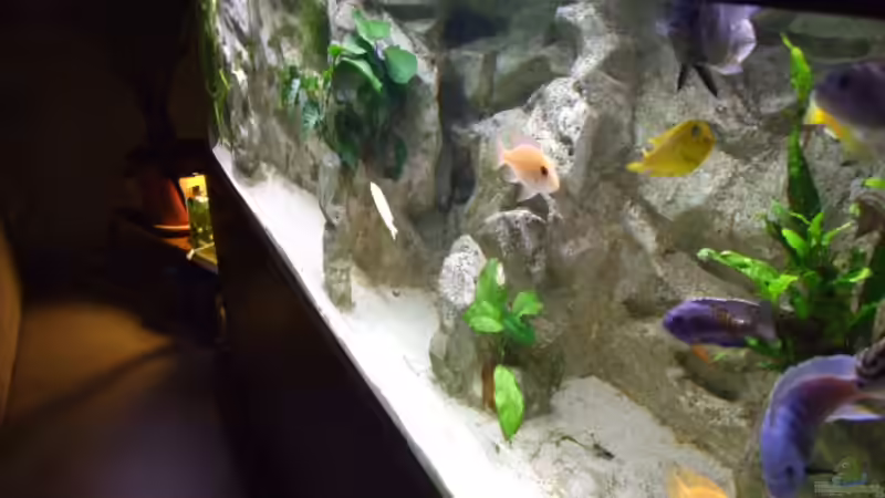 Blick von rechts von Joopde (4)