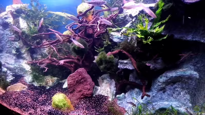 Blick von Rechts von snooze (13)