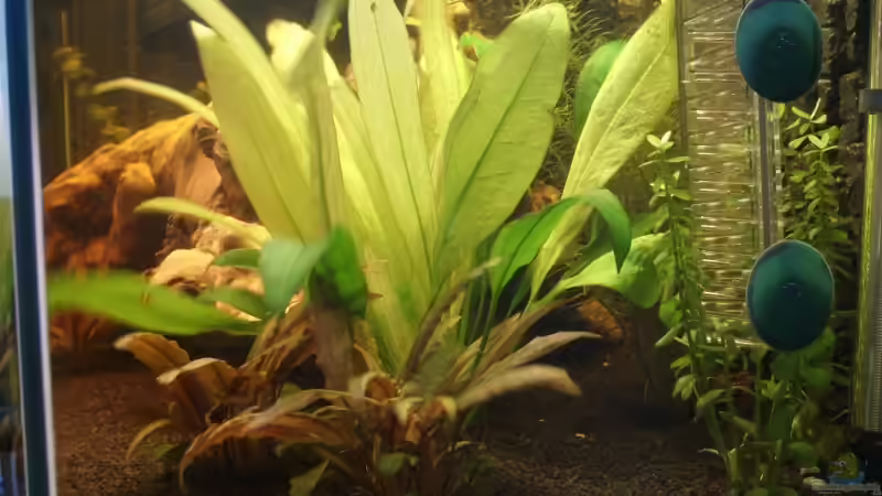 Blick von rechts von uliborowka (3)