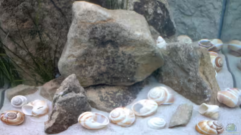 Blick von schräg oben auf die Gesamtstruktur von Sambia (34)