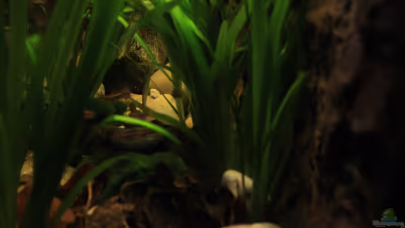 Blicke durch die Seitenscheibe von Florian Bandhauer (29)