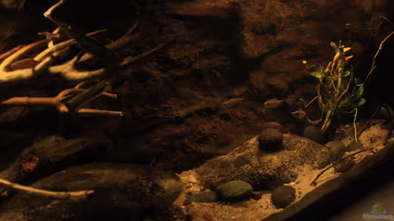 Blicke ins Becken von Florian Bandhauer (3)