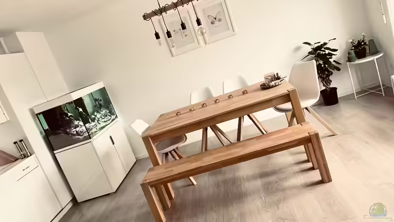 Blickfang - 1 von Dominic (14)