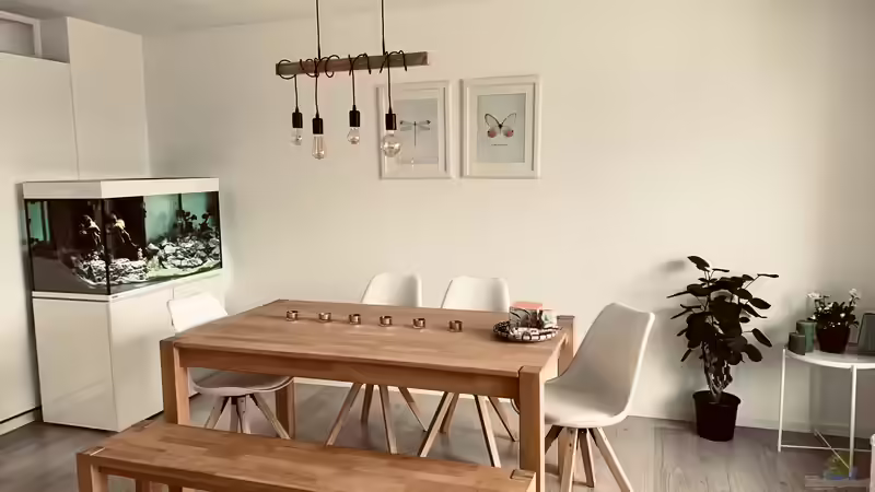 Blickfang - 2 von Dominic (15)