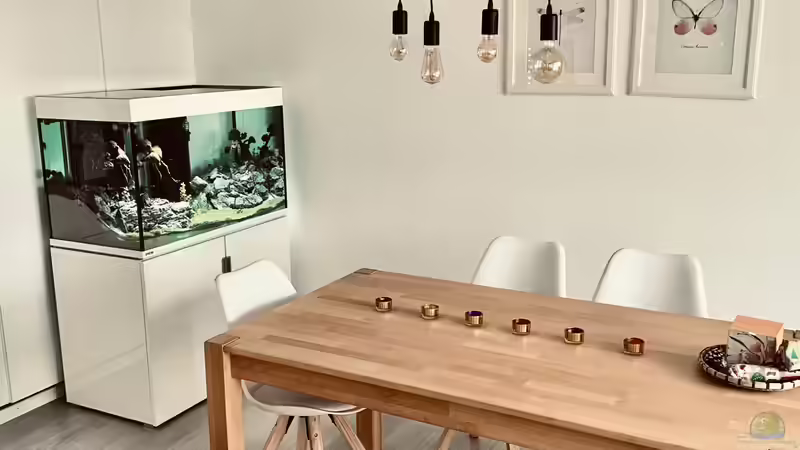 Blickfang - 3 von Dominic (16)