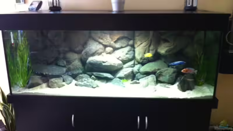 Blickfang im Wohnzimmer (altes Bild) von Sunny73 (20)