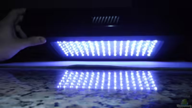 Blog: 120 Watt LED Modul 1:1 blau:wei??, BridgeLux-LED (4326)
